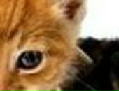 Аліна Третякович фотография #43 (источник - https://vk.com/id36342602)