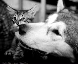 Фотография Куркубет Наташи