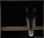 Фотография Чернова Александра