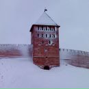 Фотография Трояновская Ирина