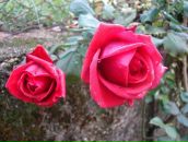 Іван Руднік фотография #24 (источник - https://vk.com/id113826045)