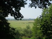 Олексій Бартосевич фотография #25 (источник - https://vk.com/id44964477)