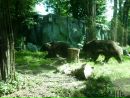 Анна Леух фотография #36 (источник - https://vk.com/id49786233)
