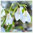 Фотография Ильиной Марины