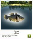 Ігор Брончук фотография #3 (источник - https://vk.com/id100489490)