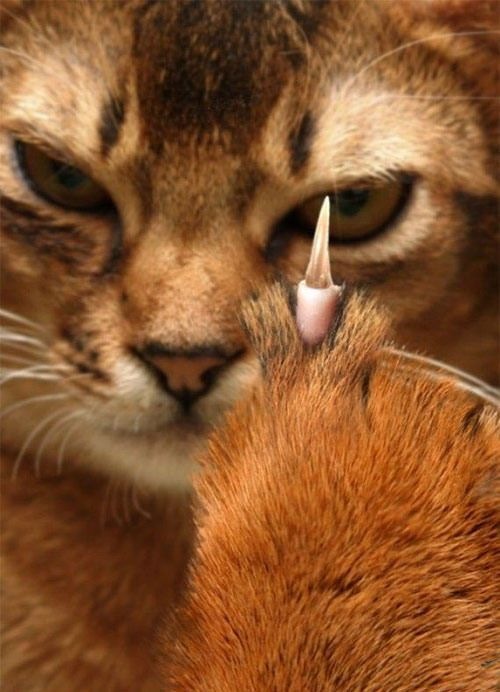 Дарья Савельева фотография #25