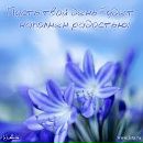 Андрій Сидор фотография #25 (источник - https://vk.com/id9298261)