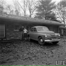 Фотография Emelina Viktoria