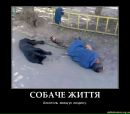 Ігор Пришляк фотография #48 (источник - https://vk.com/id21111793)