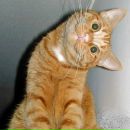 Фотография Пасиной Елены