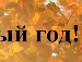 Анжела Січевська фотография #35 (источник - https://vk.com/id134975598)