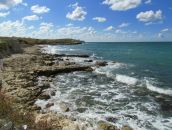 Сергій Гриців фотография #47 (источник - https://vk.com/id8004828)