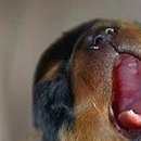 Каріно4ка♥ Шрамко фотография #19 (источник - https://vk.com/id147791993)