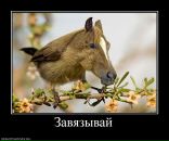 Рома Бручнівский фотография #28 (источник - https://vk.com/id57634724)