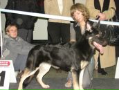 Фотография Дементьевой Ирины