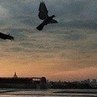 Олічка Барій фотография #3 (источник - https://vk.com/id112692080)