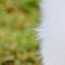 Юля Матвійчук фотография #33 (источник - https://vk.com/id135907201)