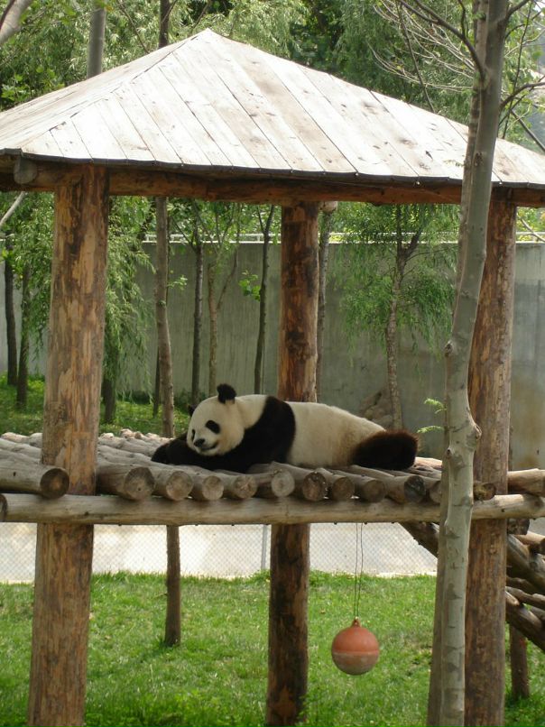 Дмитрий Тимохин фотография #48