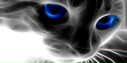 Фотография Ахмыловой Виктории