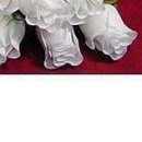 Іра Сакундяк фотография #20 (источник - https://vk.com/id35307343)