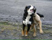 Наталія Петрова фотография #46 (источник - https://vk.com/id8906209)