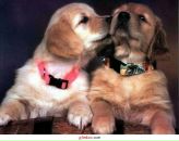 Николай Абраменко фотография #5 (источник - https://vk.com/id7148679)