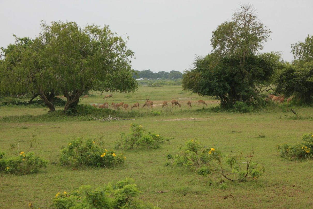 Кса На фотография #7