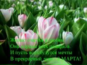Фотография Корнюшенко Анны