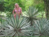 Марина Беленкова фотография #29 (источник - https://vk.com/id890375)