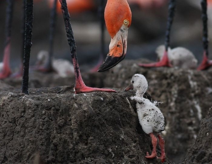 Михаил Соломонов фотография #22