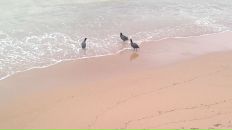 Дмитрий Хусаинов фотография #22 (источник - https://vk.com/id2769033)