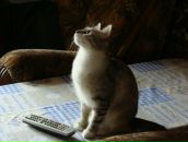 Фотография Нефертари Анны