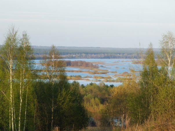 Дмитрий Cеребряков фото №20