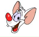 Фотография Живилова Павла