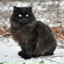 Фотография Коноваловой Марии