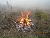 Фотография Пироговой Татьяны