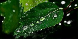 Міша Карасьов фотография #41 (источник - https://vk.com/id40385448)