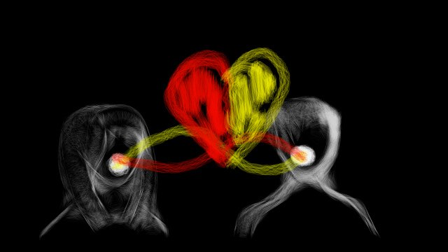 Генри Старк фотография #33