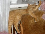 Ірина Іжик фотография #44 (источник - https://vk.com/id34500813)