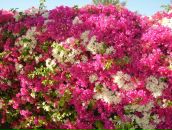 Фотография Хабибуллиной Ляли