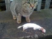 Фотография Васильевой Тани