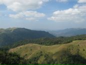 Дмитрий Матвеенко фотография #34 (источник - https://vk.com/id436376)