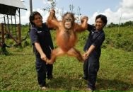 Іван Франко фотография #35 (источник - https://vk.com/id75146890)