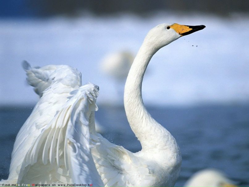 Иван Грачёв фотография #9