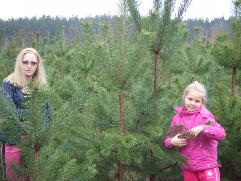 Наталья Шмидт фотография #40