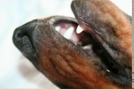 Фотография Панычек Юлии