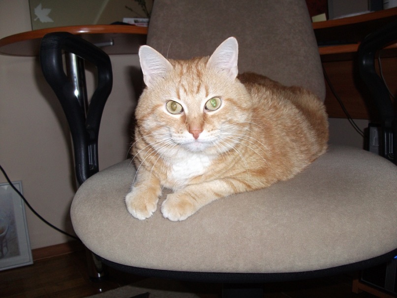 Максим Черней фотография #13