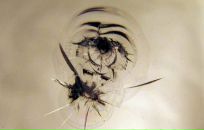 Юрій Каплій фотография #30 (источник - https://vk.com/id81231977)