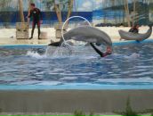 Надя Кіданецька фотография #8 (источник - https://vk.com/id103553217)