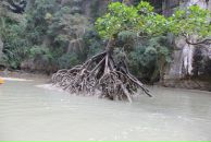 Виктор Викторов фотография #20 (источник - https://vk.com/id3277008)